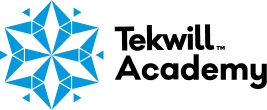 Logo Tekwill Academy